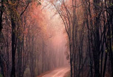 张艺兴塌房事件，坐等一个官方真相！