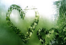 大赚30多亿！月活下滑难挡微博“闷声发大财”