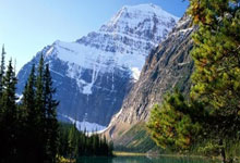 迪丽热巴的新瓜，信息量有点大啊…