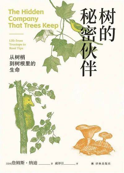《树的秘密伙伴》：揭示树木的“朋友圈”